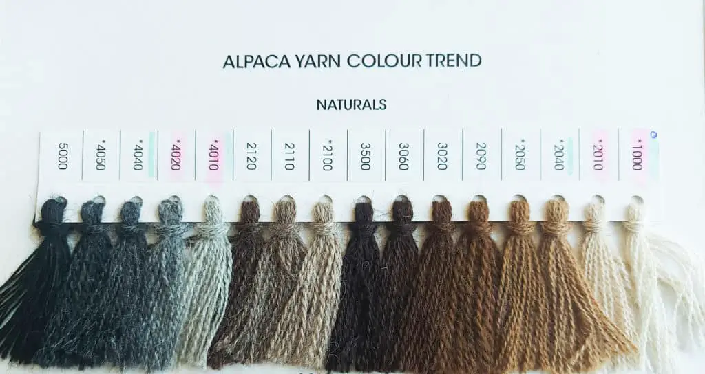 Alpaca wool comes in 24 natural colors. In the picture you can see strands of 16different natural shades, from black to white and grey and brown in between. 