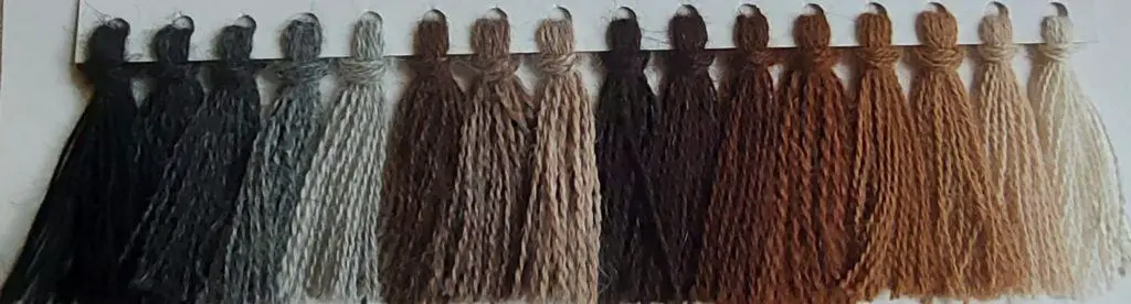 Different shades of alpaca wool. Strands of wool lined up: from black to white and every shade of grey and brown in between.