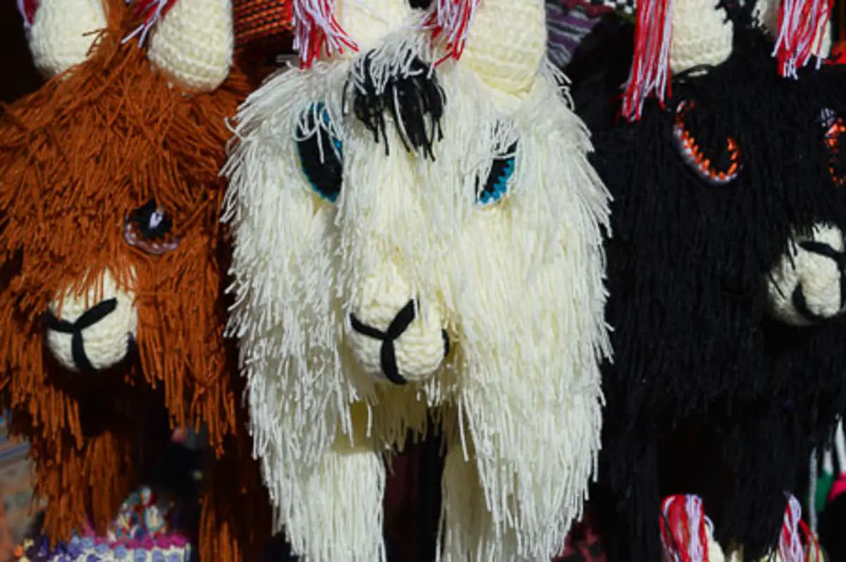 Woolen hats in the shape of alpacas. Three different colors next to each other: brown, white and black