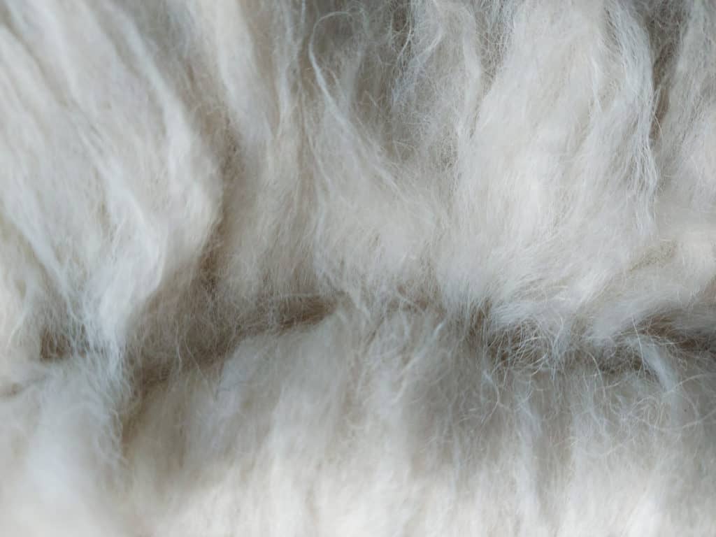 Close up of an alpaca skein. Youcan really see the texture of the individual hairs close to the separation. White fleece. 