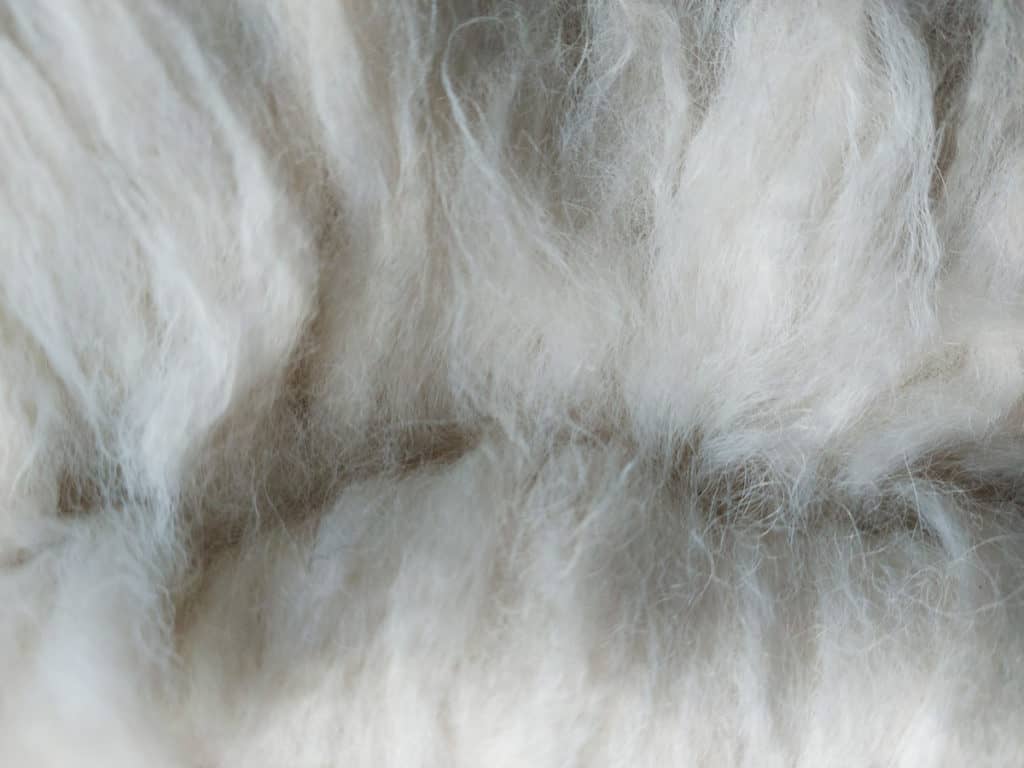 Close up of an alpaca skein. Youcan really see the texture of the individual hairs close to the separation. White fleece.